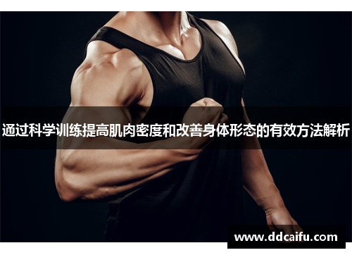 通过科学训练提高肌肉密度和改善身体形态的有效方法解析