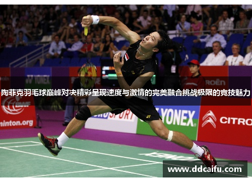 陶菲克羽毛球巅峰对决精彩呈现速度与激情的完美融合挑战极限的竞技魅力