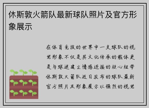 休斯敦火箭队最新球队照片及官方形象展示