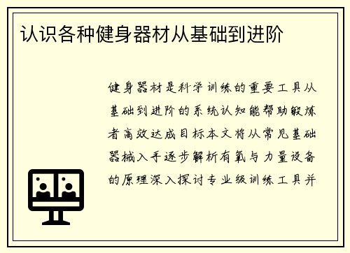 认识各种健身器材从基础到进阶